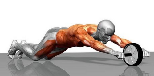 6 Effective Ab Wheel Rollout Exercises for Men to Strengthen Core