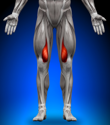 9 Intense Vastus Medialis Exercises How to Exercise Your Quads