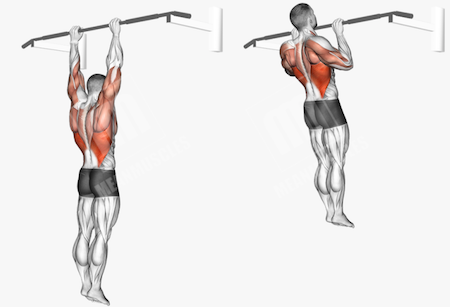 Go From 0 To 10 Pull Ups In A Row (FAST!)