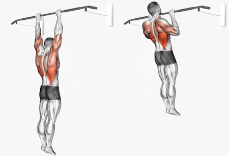 Exercises for more pull ups sale