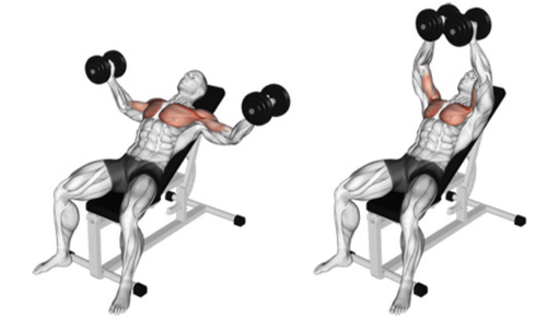 Incline pec deck sale