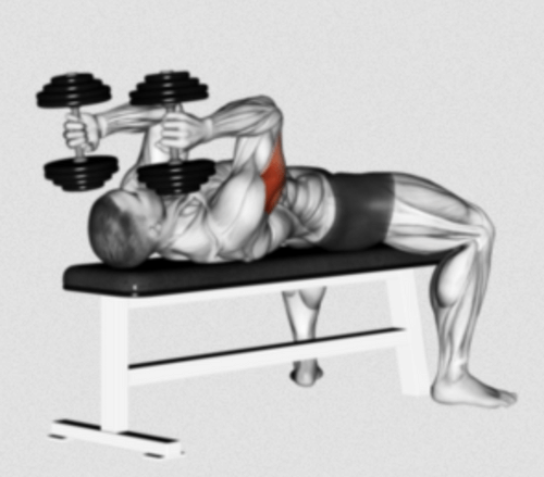 The Dumbbell Skull Crusher 101 How to Build Bigger Triceps