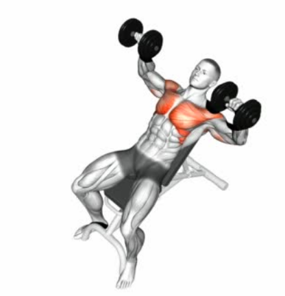 Single dumbbell upper chest press hotsell