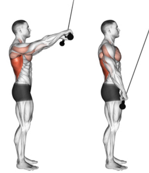 Straight arm pulldown bar sale