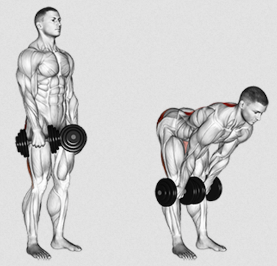 Dumbbell Stiff Leg Deadlift 101 Form Benefits And Variations