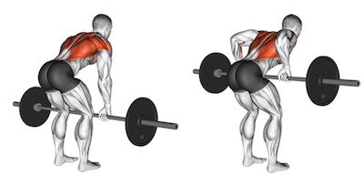 How To Do Barbell Side Bend  Muscles Worked And Benefits