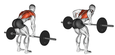 The Barbell Row A Complete Guide Form Benefits Variations