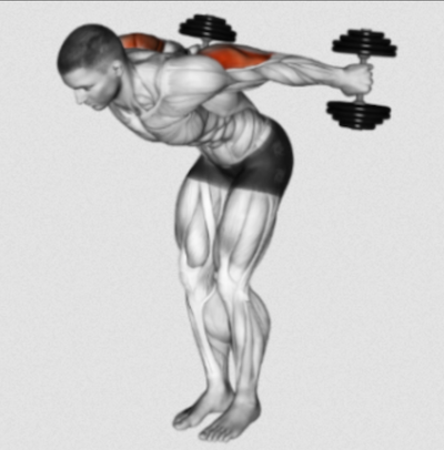 Tricep Dumbbell Kickback 101  Form, Benefits And Variations!