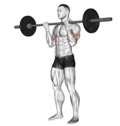 Barbell biceps top