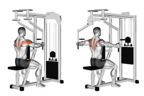 Rear fly discount exercise