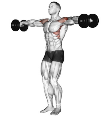 Delta shoulder workout sale