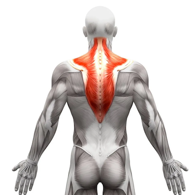 Best Kettlebell Trap Shoulder Workout