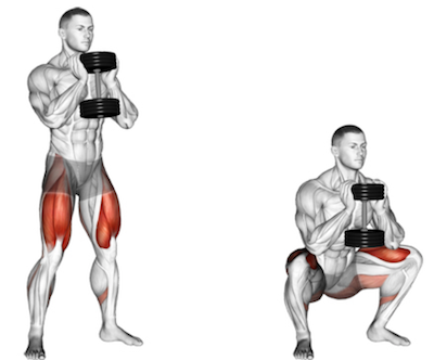 Dumbbell goblet split squat exercise instructions and video