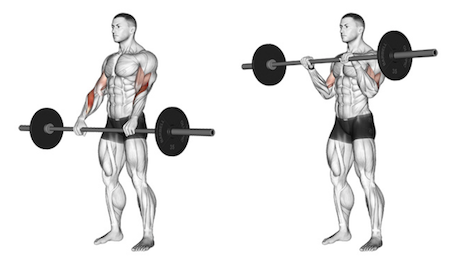 The Overhand Bicep Curl 101 Master The Reverse Curl Today