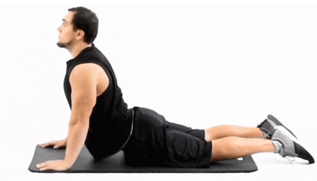 Lat free weight exercises sale