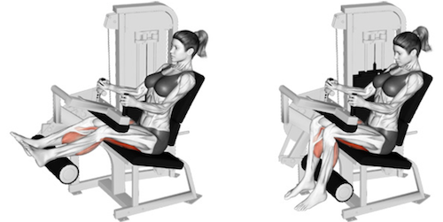 Curl hamstring sale