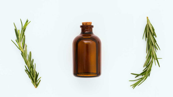 ROSEMARY OIL FOR FASTER HAIR GROWTH, HEALTHIER SKIN AND MORE | BENEFITS