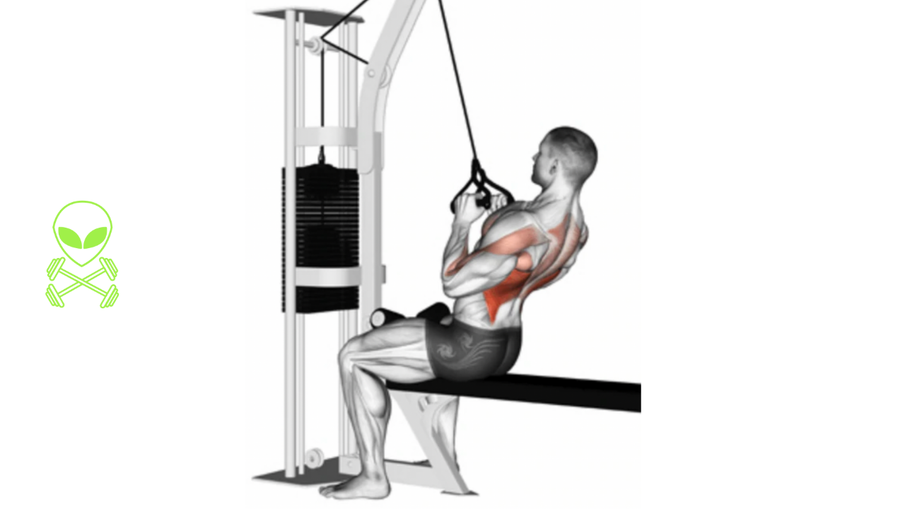 Close Grip Lat Pulldown 101  Form, Benefits, And Variations!