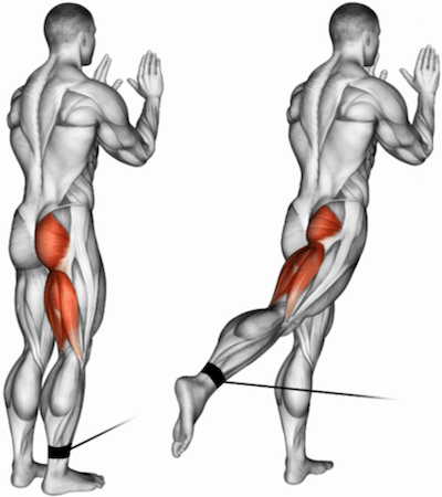 Cable Glute Kickbacks: A Complete Guide | How To Train Your Glutes!
