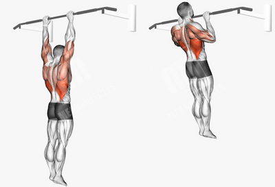 Full pull up workout hotsell