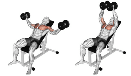The Incline Dumbbell Fly 101 | How To Exercise Your Upper Chest!