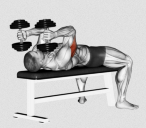 The Dumbbell Skull Crusher 101 | How to Build Bigger Triceps!