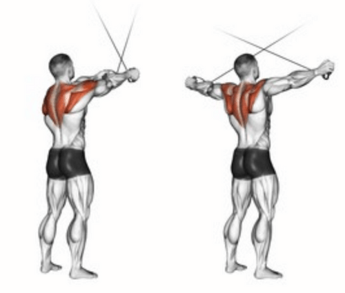 The Cable Rear Delt Fly | How To Maximize This Rear Delt Exercise!