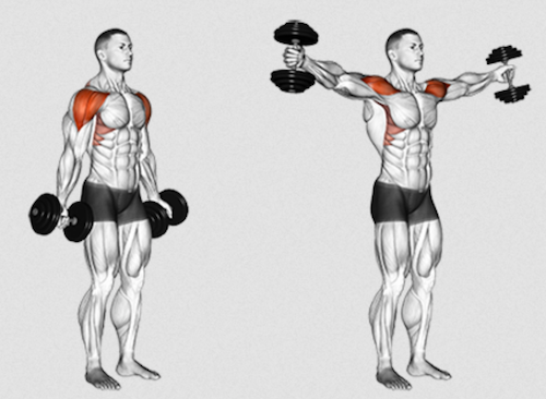 The Scaption 101 | How To Increase Your Deltoid Muscle Definition!