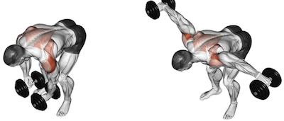 The Dumbbell Rear Delt Fly 101 | How To Train Your Rear Deltoids!