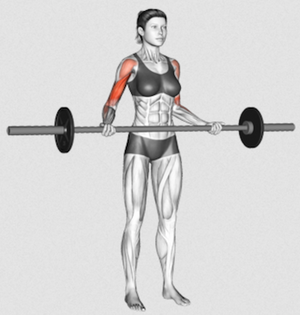 The Barbell Drag Curl 101 Form Benefits And Variations