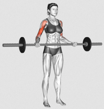 THE BARBELL DRAG CURL 101 | FORM, BENEFITS, AND VARIATIONS!