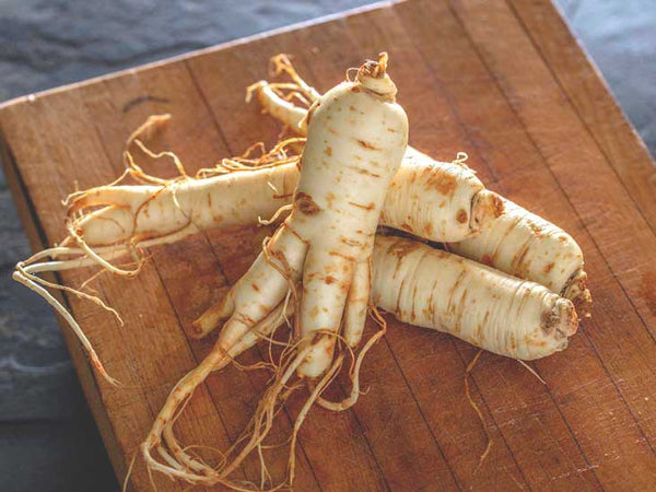 THE PRIZED GINSENG PLANTS: BENEFITS, SIDE EFFECTS AND MORE!
