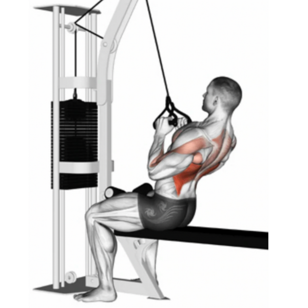 Reverse grip cable pulldown hotsell