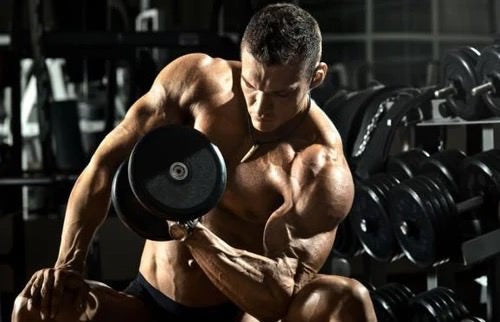 4 Bicep Curl Exercises For Bigger Arms